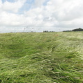 DSC03375